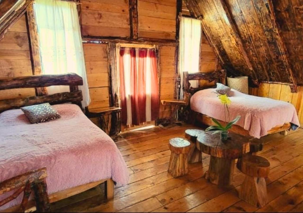 Lodge La Palma *
